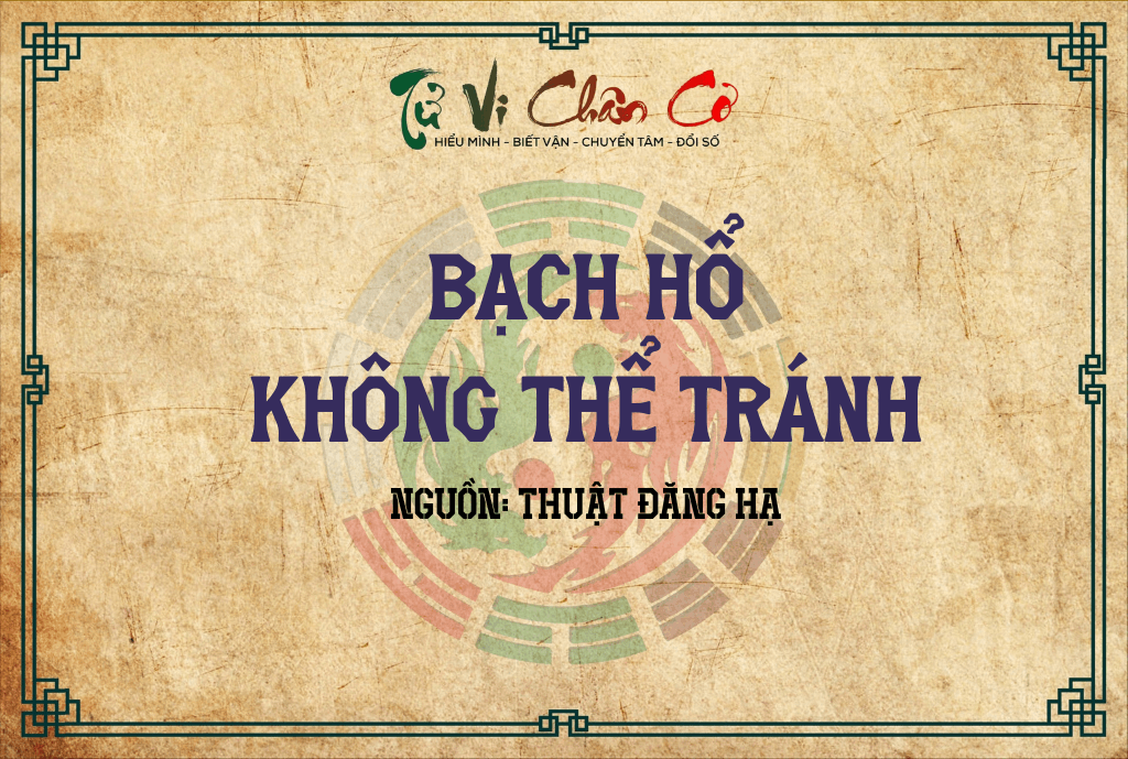 Bạch Hổ, Không Thể Tránh