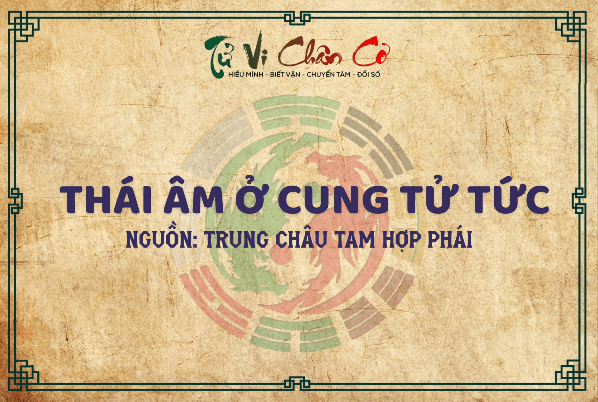 Thái Âm Ở Cung Tử Tức