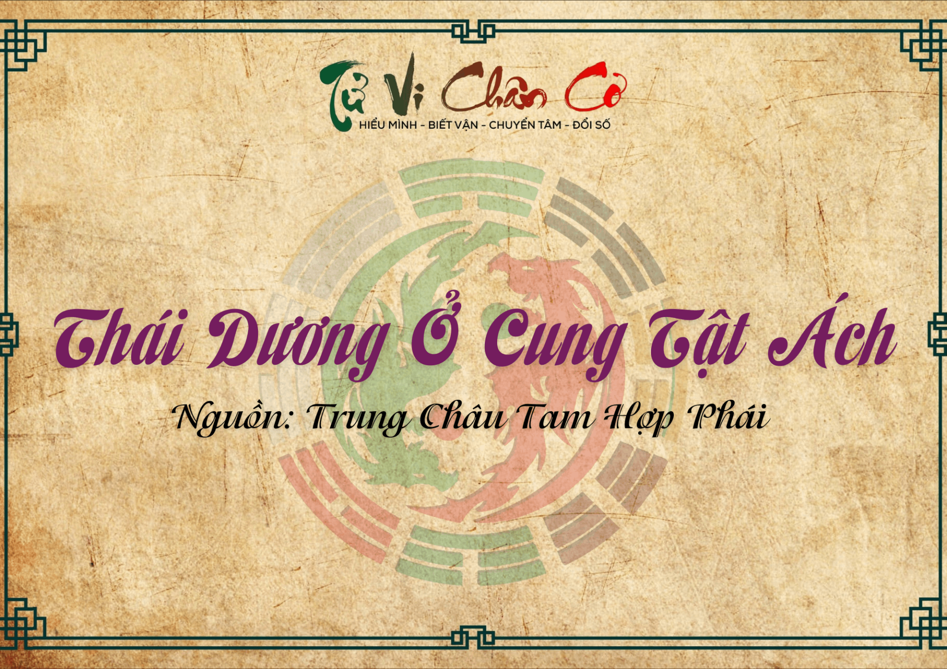Thái Dương Ở Cung Tật Ách