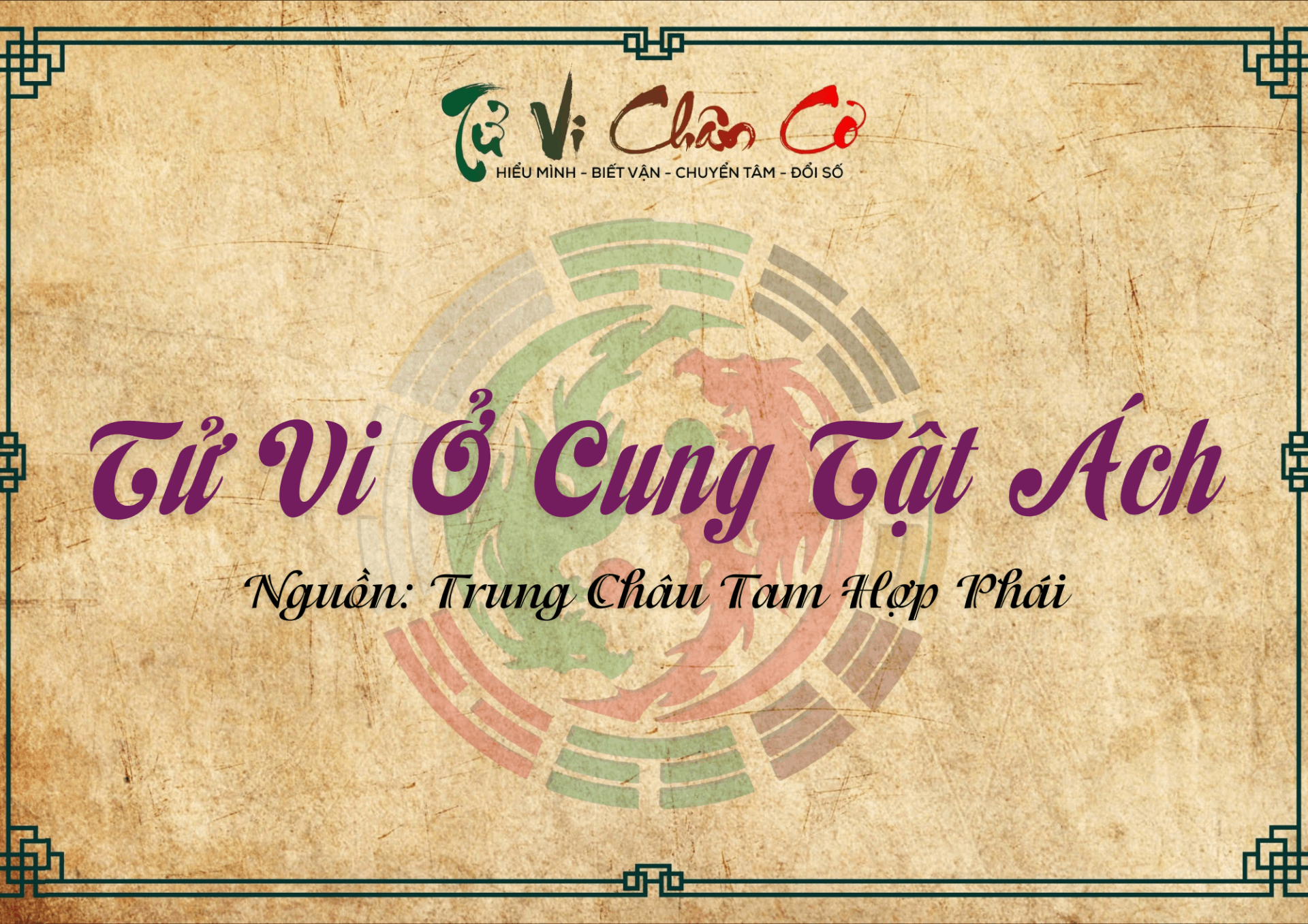 Tử Vi Ở Cung Tật Ách